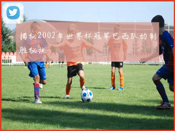 揭秘2002年世界杯冠军巴西队的制胜秘诀