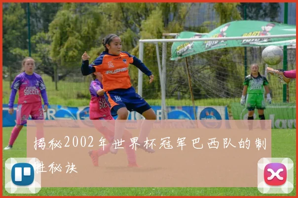 揭秘2002年世界杯冠军巴西队的制胜秘诀